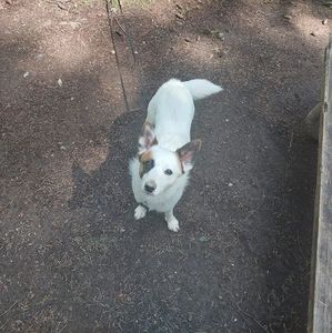 Meet your Posher, Keenan